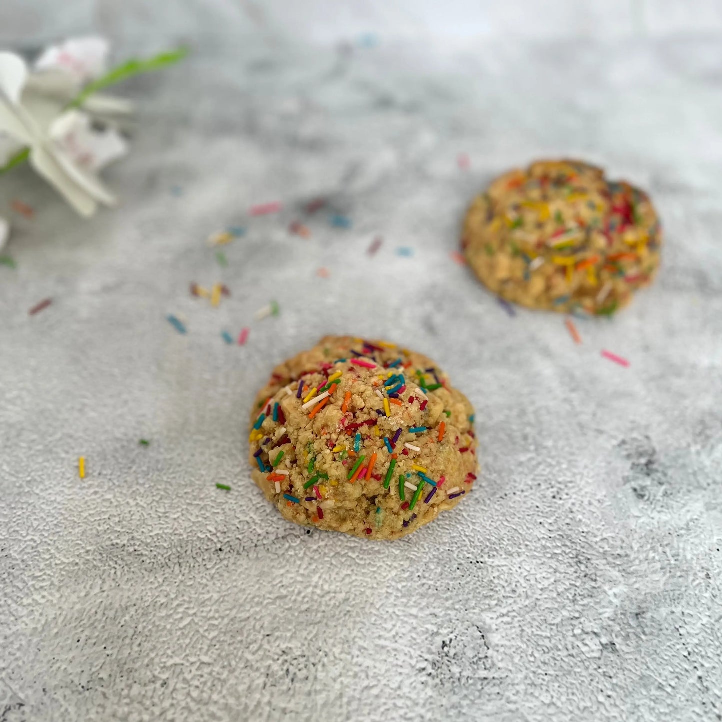 Confetti Bomb Elysia